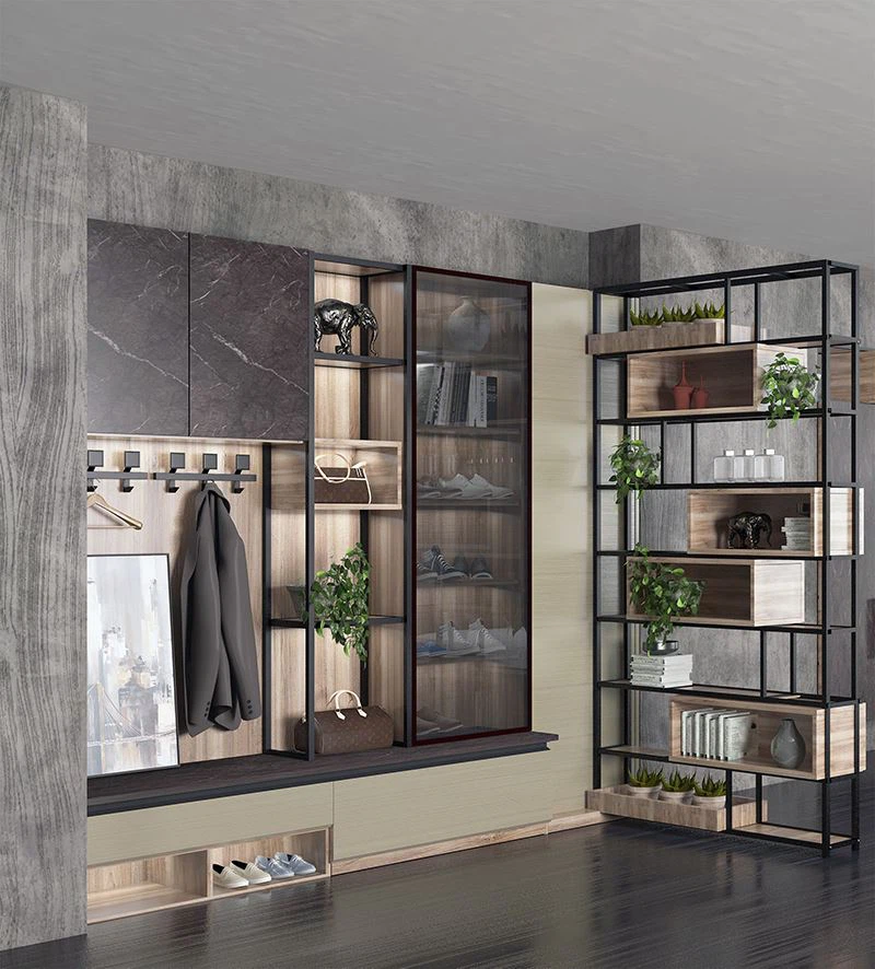 multifunctional enterway cabinet