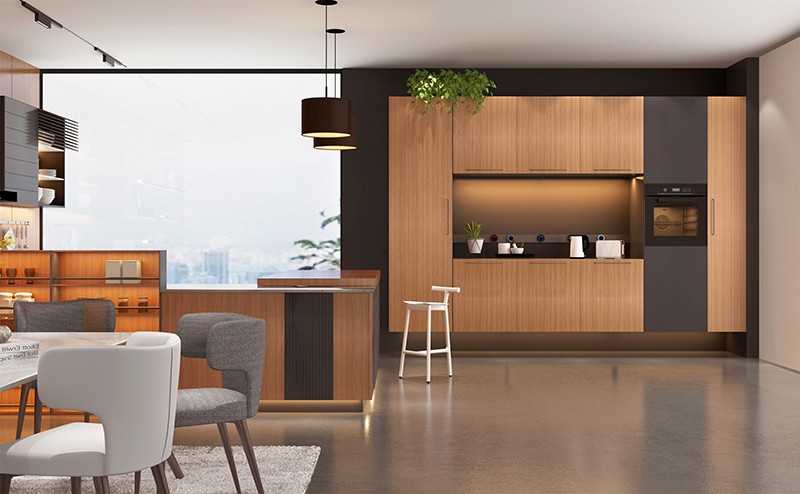 contemorary stylish kitchen cabinet