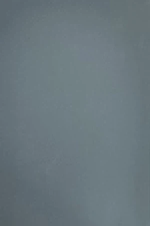 PM1008 PM1008