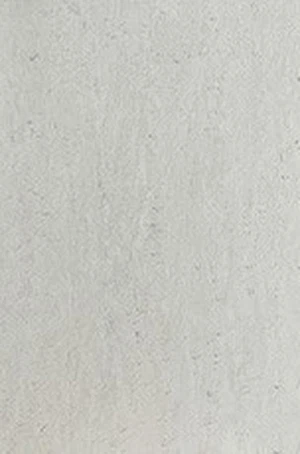 SM1017-1 SM1017-1