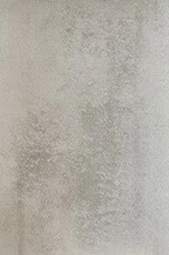 SM1005-1 SM1005-1
