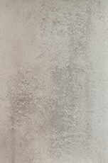 SM1005-1 SM1005-1