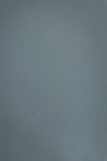 PM1008 PM1008