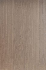SM1009-1 SM1009-1