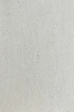 SM1017-1 SM1017-1