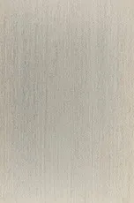 PM1009 PM1009