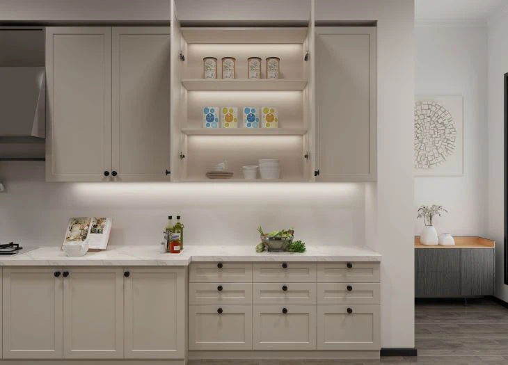 Shaker Style Kitchen Cabinet