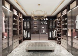 Modern Walk-In Closets