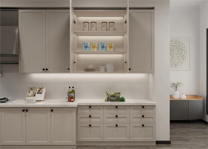 pvc shaker door kitchen cabinet