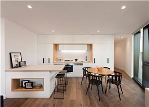 White Matte Kitchen Cabinets