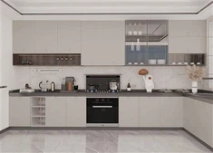European Lacquer Matte Cabinet